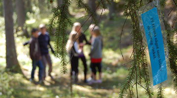 en grupp elever syns i skogen bortom en uppgiftslapp som hänger i en gran. Fotograf: Anna Aldén 